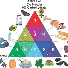  Illustration consisting of a multicolored triangle divided into 9 sectors with different levels of fat, protein and carbohydrates, and with various types of foods indicated for each sector. 