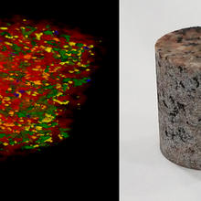 a cylinder of granite and the four-colored scan of its interior.