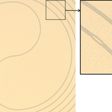 Superconducting coplanar waveguide