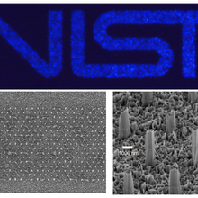 NIST logo in GaN nanowires