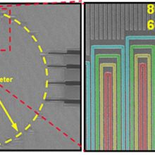 Four-element superconducting nanowire single-photon detector