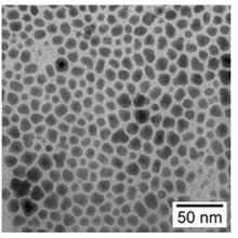 gold nanoparticles magnified many thousands of times. The scale bar in the corner is for 50 nanometers.