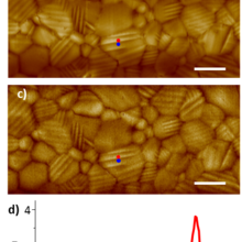 Observation of ferroelastic domains in organic-inorganic perovskites solar cells by PTIR