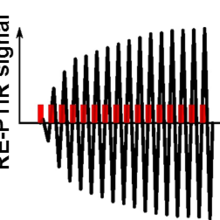 RE-PTIR signal