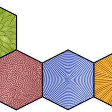 Collage of various filtration membranes that have been wrinkled to reveal their mechanical properties. The patterns include spokes, a flower, concentric rings, and random wrinkles. 