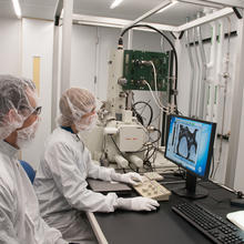 Two seated people in bunny suits look at a bluish computer image