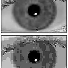 top image: black and white iris. bottom image: pixelated black and white iris image.