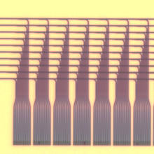 Ten amber-colored hair combs with handles lined up facing left on a yellow background