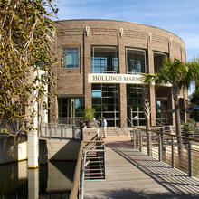 Three people are talking in front of a brown brick building on the water with the words Hollings Marine visible over the door. Palm trees are nearby.