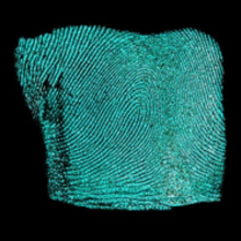 fingerprint