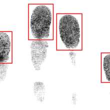 Segmented Slap Fingerprint