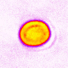 A row of five blobs in mixtures of bright colors, with blobs getting smaller left to right