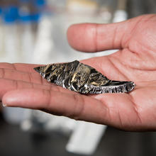 A piece of shiny metalloid with jagged edges is presented in the palm of a man’s hand.