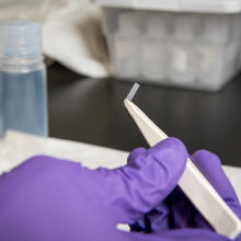 A hand, gloved in a purple, holds a small rectangular piece of enriched silicon in forceps.