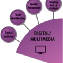 Digital/Multimedia SAC wedge