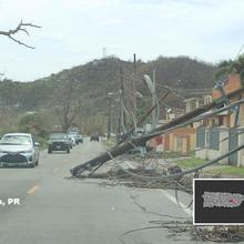 Downed Power Line