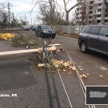 Downed Power Line in San Juan