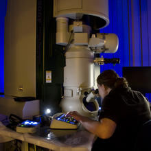 Ann Chiaramonti Debay looks into a TEM