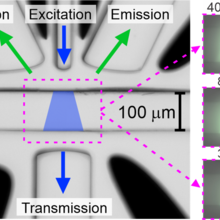 Optofluidic device