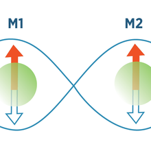 Cartoon of two ions inside a figure eight pattern