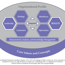 The Baldrige Health Care Criteria for Performance Excellence Overview consists of the six categories (Organizational Profile, Leadership, Strategy, Customers, Measurement, Analysis, and Knowledge Management, Workforce, Operations, and Results).