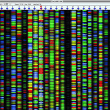 vertical columns of lines in bright colors