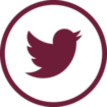 NICE_Tweet_Bird