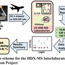 HDX-MS Interlaboratory Scheme