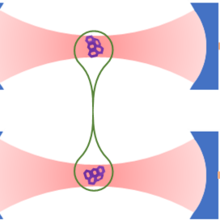 Schematic of quantum entangled molecules or nanoparticles in dual cavity system.