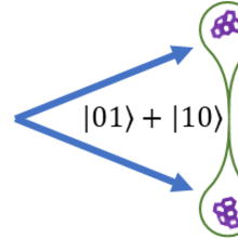 Schematic of quantum entangled molecules or nanoparticles in dual cavity system.