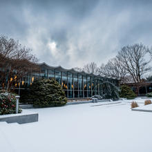 building in background. Bare trees. Snow on ground.