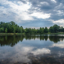 Foreground: Lake. Background: Trees.