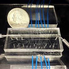 Microfluidic cytometer