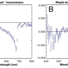 circular polarization