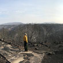 A researcher standing on recently burned terrain. 