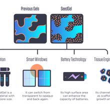 The contrasting interiors of previous gels and the new seed gel show the different respective locations of their nanoparticles. Below we see representations of four different applications: filtration, smart windows, battery technology and tissue engineering. 