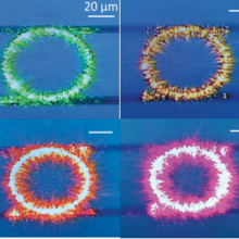 microring resonators