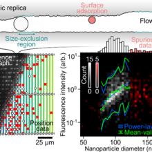 Nanofluidic replicas graphs