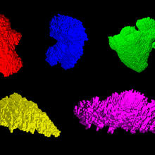 Five fragments of moon dust glow in bright colors on a black background.