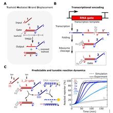 Predictable and tunable reaction dynamics