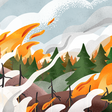 Illustration shows flames and smoke over a pine forest. 