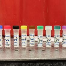 A row of plastic vials with different-colored caps all labeled "Glycan."