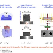 Fundamentals of Polymer Mechanics Project Overview