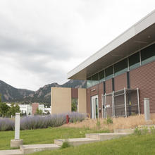 A low modern building at right has a large "6" on the side, with mountains and cloudy sky in the background.