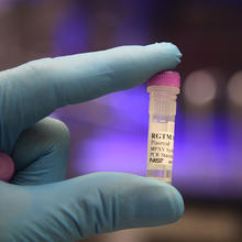 A gloved hand is holding up a small plastic vial labeled "RGTM plasmid."
