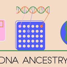 Icons showing a test tube and an envelope; a grid and a DNA helix; and a globe with person markers appear over the words "DNA ANCESTRY."