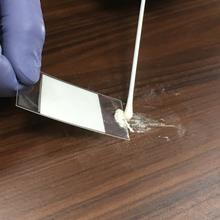 A person wearing purple plastic gloves holds a clear sheet of plastic and uses a cotton swab to brush white powder onto it from a tabletop. 