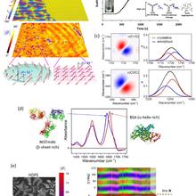 3D orientation angle images of a PCL film