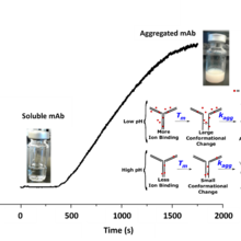 Isothermal aggregation kinetics of a low-pI mAb solution 