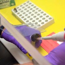 Hands in purple plastic gloves hold a bottle and syringe beneath a clear plastic barrier meant to keep chemicals contained.